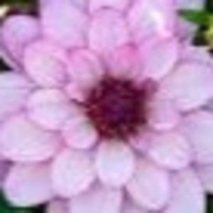 Meet your Posher, Katlyn